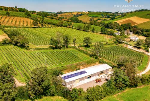 We have a fun afternoon planned at Calancombe Estate