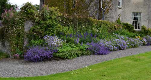 A lovely border at Burtown House
