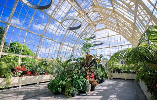 National Botanical Garden in Dublin's beautifully restored glasshouse