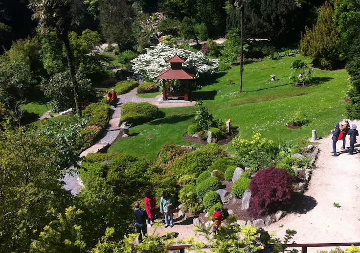 Powerscourt's Japanese Garden