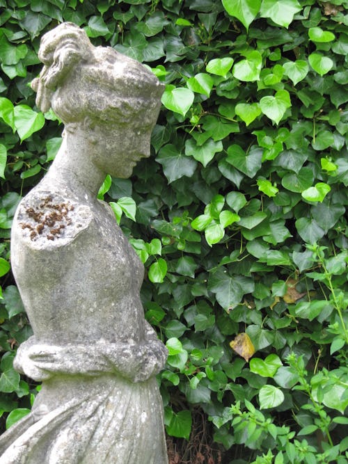 Hellen Dillon's Statue