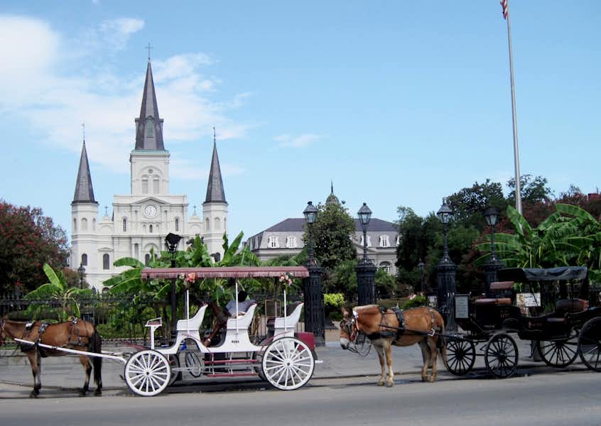 We are going to show you the best of New Orleans!