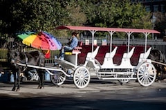 New Orleans carriage ride