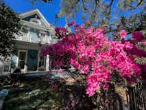 It is a beautiful time to visit New Orleans