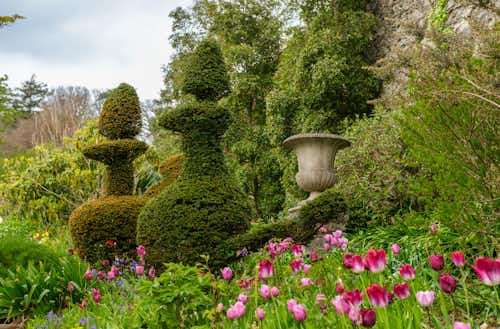 Plas Cadnant Hidden Gardens by Flickr user Allan Harris