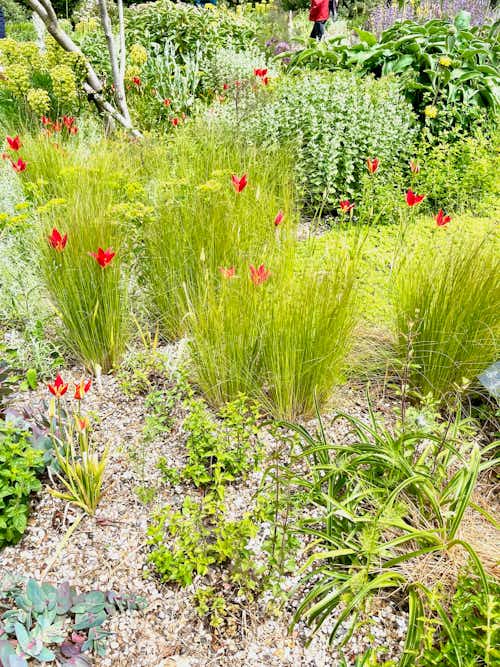 Beth Chatto's Garden