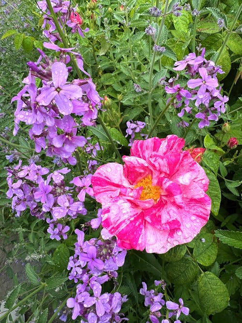 May into June is a wonderful times to visit Cambridgshire and Norfolk