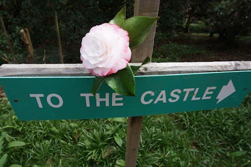 This way to Caerhays!