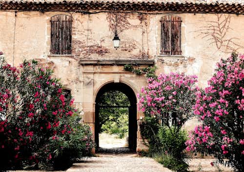 Provence, France garden