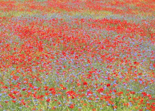 Our daily sojourns will take us through beautiful scenery