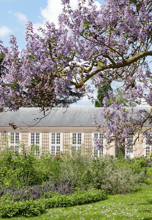 We'll visit a few gardens purpose built to supply the ingredients for perfume - but as gardeners will do, they've made them beautiful as well as purposeful!