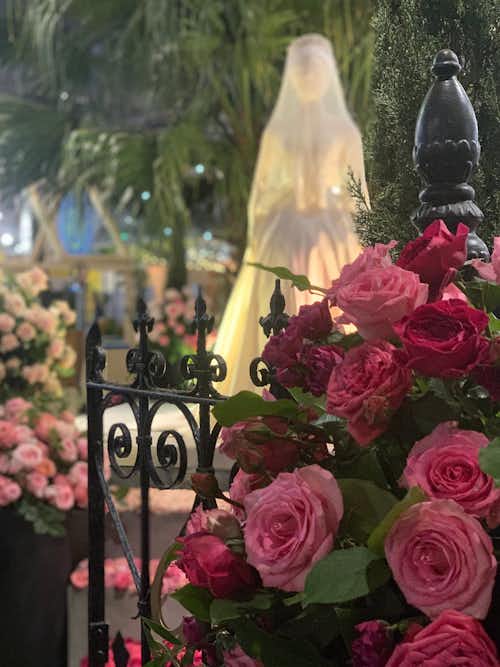 Dramatic rose display at the 2020 flower show