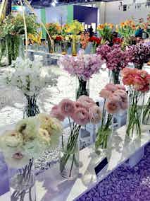 Blossom arrangement competition at the flower show
